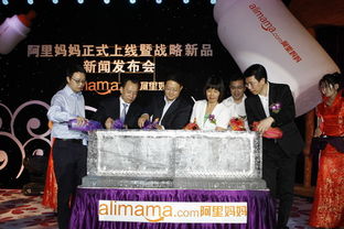 阿里媽媽發布戰略級網絡廣告產品 全國聯播