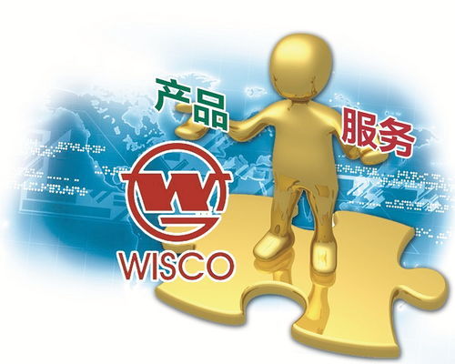 廣告設(shè)計(jì)項(xiàng)目 高收益自動化推廣策略解析